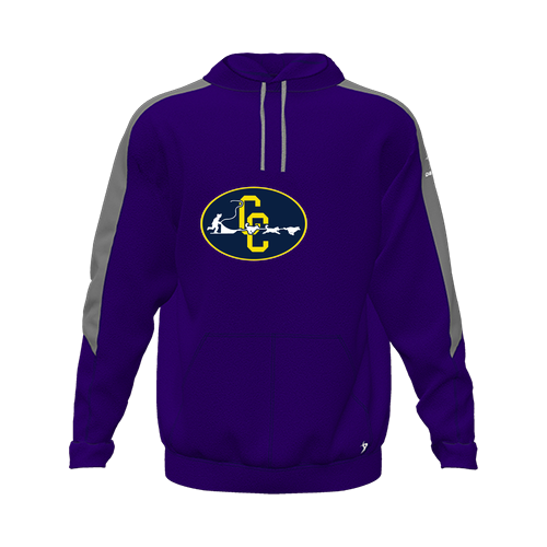 [CUS-DFW-HOOD-FLC-LSL-PUR-YXS-LOGO2] Hoodie (Youth XS, Purple, Logo 2)